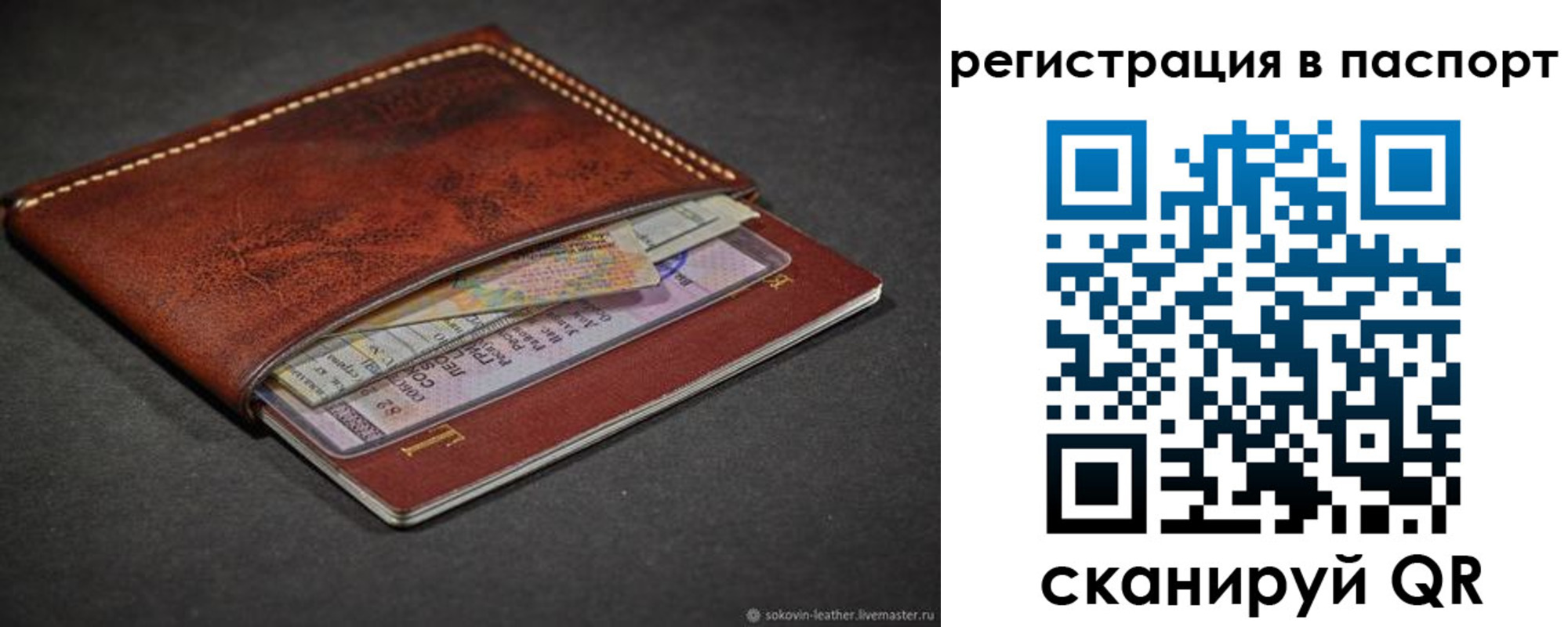прописка иностранных граждан в Зеленогорске